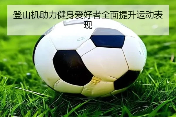 登山机助力健身爱好者全面提升运动表现
